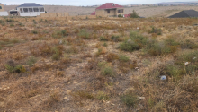 143 sot Torpaq, Satış, Abşeron