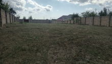 12 sot Torpaq, Satış, Şamaxı