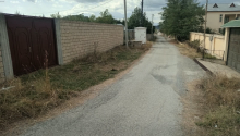 12 sot Torpaq, Satış, Şamaxı
