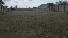 12 sot Torpaq, Satış, Şamaxı