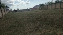 12 sot Torpaq, Satış, Şamaxı