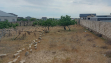 23 sot Torpaq, Satış, Bakı, Sabunçu