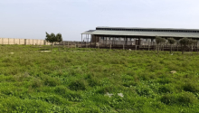 1 otaqlı Obyekt, Kirayə (aylıq), Abşeron