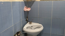 2 otaqlı Villa / Həyət evi, Satış, Bakı, Nəsimi, Gənclik