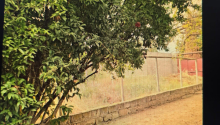 4 sot Torpaq, Satış, Bakı, Xəzər, Koroğlu