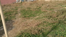 2 m2 Torpaq, Satış, Abşeron