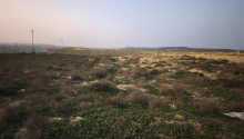 10 sot Torpaq, Satış, Bakı, Binəqədi
