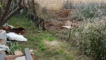 10 sot Torpaq, Satış, Abşeron