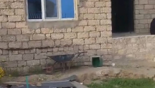 3 otaqlı Villa / Həyət evi