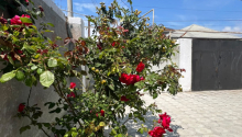 3 otaqlı Villa / Həyət evi, Satış, Bakı, Sabunçu