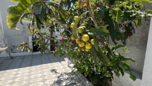 3 otaqlı Villa / Həyət evi, Satış, Bakı, Sabunçu