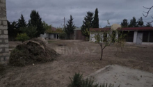 6 sot Torpaq, Satış, Bakı, Xəzər, Koroğlu