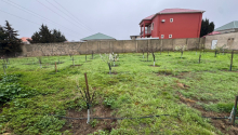 13 sot Torpaq, Satış, Bakı, Xəzər, Koroğlu