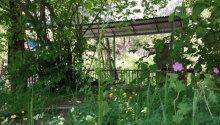 5 otaqlı Villa / Həyət evi, Satış, İsmayıllı