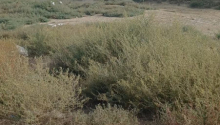 10 sot Torpaq, Satış, Bakı, Sabunçu
