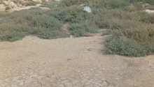 10 sot Torpaq, Satış, Bakı, Sabunçu
