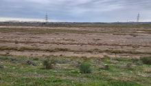 4 hektar Torpaq, Satış, Bakı, Qaradağ
