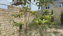 3 otaqlı Villa / Həyət evi, Satış, Abşeron