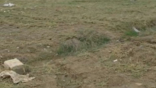 10 sot Torpaq, Satış, Abşeron