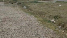 10 sot Torpaq, Satış, Abşeron